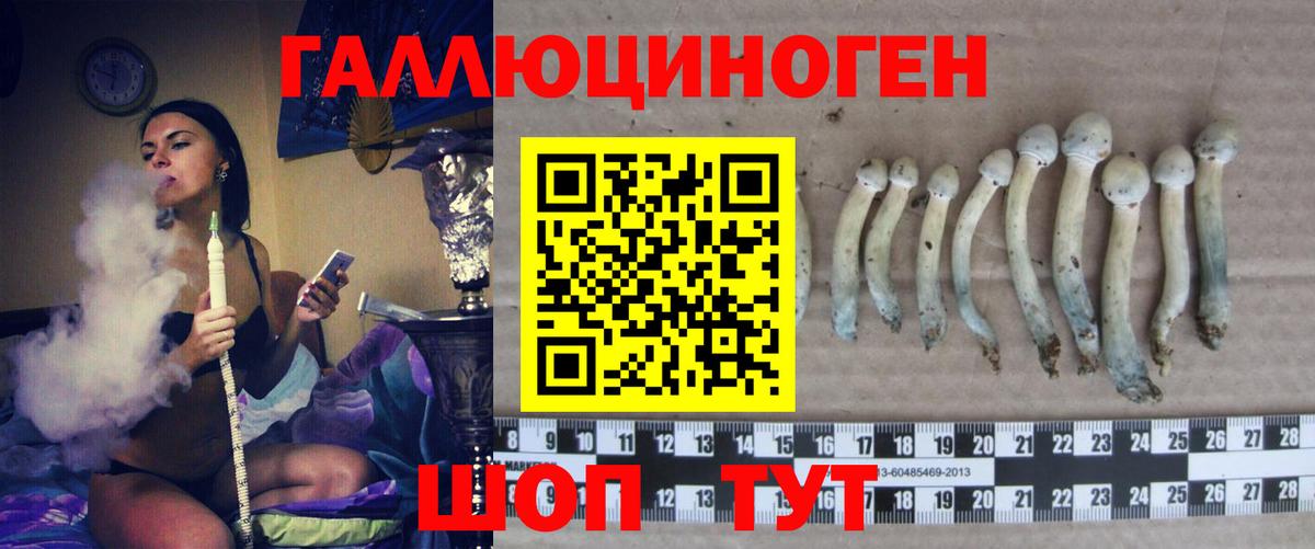 Псилоцибиновые грибы MAGIC MUSHROOMS Нефтекамск
